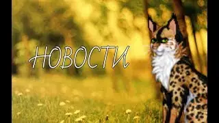 НОВОСТИ и немного о ДУШЕВОМ персонаже