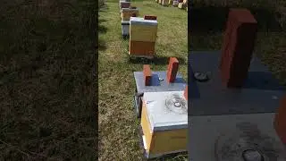 26.05.2023 г. едем на пасеку! 