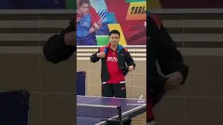 #tilong Brand Ambassador and Master Coach of STAG GLOBAL 🔥 #TiLongClub #bóngbàn #tabletennis