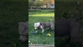 Как поднимает пуллер 