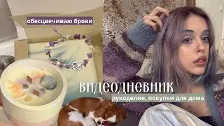 видеодневник.
