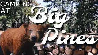 CAMPING IN BIG PINES! Information & how to camp in this campgrounds.