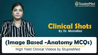 Clinical Shots I Anatomy I Image Based 2 I Image Based MCQ Discussion I Dr Monalisa
