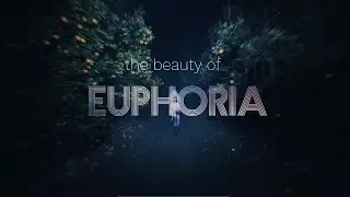 Beauty Of Euphoria (edit)
