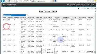 IBM Cognos Report Studio Show Columns only When Data is Present Part 2