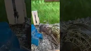 Магазины для животных ☺️