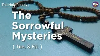THE HOLY ROSARY | THE SORROWFUL MYSTERIES | TUE. & FRI. | MEI YT