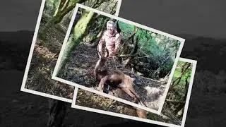 Wairarapa Red Deer meat hunt