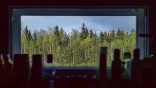 My Strange Life. Taiga, Village, Bears, Fishing. A Mystical Encounter.