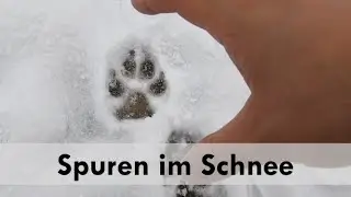Natur Entdecken - Spuren im Schnee, Amphibien und seltene Vögel