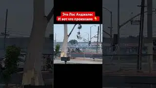 Это случилось прямо на светофоре #лосанджелес #сша #полиция