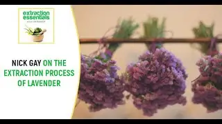Nick Gay On The Extraction Process Of Lavender