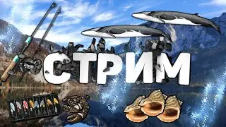 стрим рр3 стрим рр3 собираем бомы на 2ром аке!+розыгрыш бома в 20 00 по мск!!!