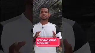TE enseño cómo DECORAR tu ACUARIO para peces #shorts #peces #consejos