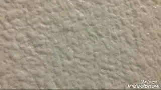فضيحة الفنان زهير باهاوي  zouhair bahaoui