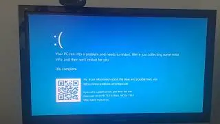 Wii Crash has BSOD (Windows 10 Lite 1909) [HP Z400]