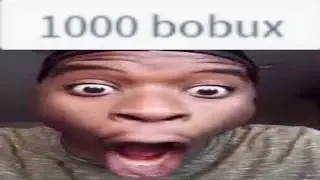 1000 bobux