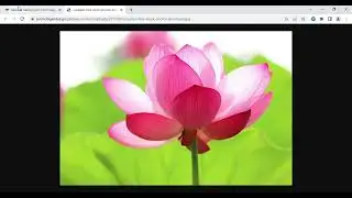 How to Remove photo background with simple steps. #removebackground #remove #photo #image #imagebg