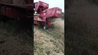 #agriculture #farm #farming #farmer #machine #т25 #сільськежиття  #life