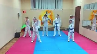 Новогодняя показательная программа