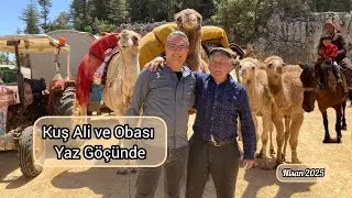 The Migratory Journey of the Sarıkeçili Nomads | Kuş Ali's Encampment on the Road from Mersin to ...