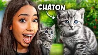 J'AI ADOPTÉ UN CHATON ! (ouii vraiment 🥺)