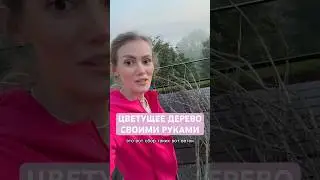 ЦВЕТУЩЕЕ ДЕРЕВО СВОИМИ РУКАМИ 😎 Остались вопросы пиши в комментариях 🔥 #цветы #цветычелны
