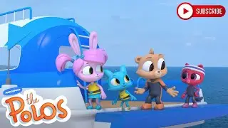 Swimming with whales | The Polos | Adventure Learning | Learn At Home