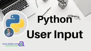 How to take user input in Python