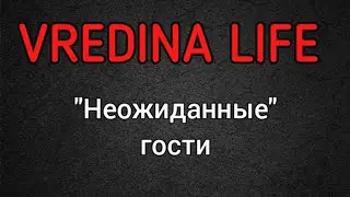 Вредина лайф/