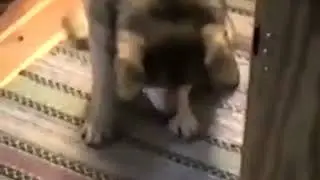 командная работа