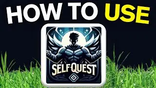 How To Use SelfQuest App (2024)