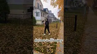 Autumn in Winnipeg #shorts #winnipeg #canada #autumn