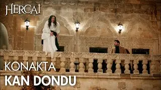 Elif kendini aşağı atıyor! - Hercai Efsane Sahneler