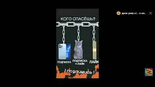 типичный шортс #shorts