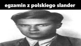 egzamin ósmoklasisty z polskiego slander (2024)