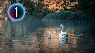 Advanced Masking in Capture One Pro (Capture One Tutorial) | Tutorial Tuesday