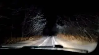 Покатушки, Чкаловский 18 марта 2018 год.(3)
