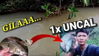 GILAAAK‼️SATU KALI LEMPAR LANGSUNG DI LAHAP HABISSS