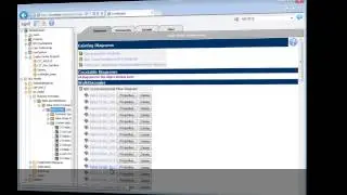 SAP, IntelliCorp and HP: An Integration Story (with Spanish subtitles)
