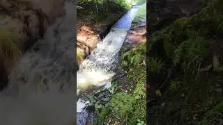 Wenn's mir zu heiß wird , leg ich mich hier rein....😀#abkühlung #hitze #wasserfall #see