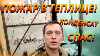 Пожар в теплице! Почему и когда загорается дымоход!
