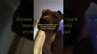 Що правда,то правда😂|#shorts|#ржака|#юмор|#реки|#рекомендации