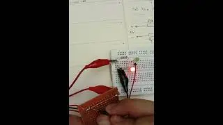 كيف نتابع  القطب الموجب والسالب للدارة How to set the + &_ poles for the circuit