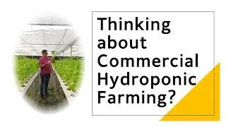 NFT vs. DFT vs. Vertical Aeroponics: Which is Most Profitable?