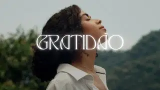 Gratidão - Tori (Visualizer)