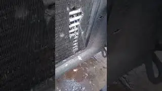 не покупайте антифриз из сфетофора