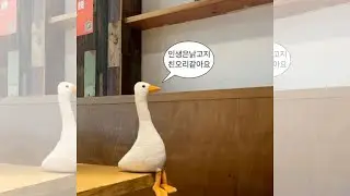 🐬 𝐩𝐥𝐚𝐲𝐥𝐢𝐬𝐭 | 우울할 때 들으면 더 우울해짐