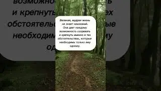#цитаты #мудрость #жизнь #психология