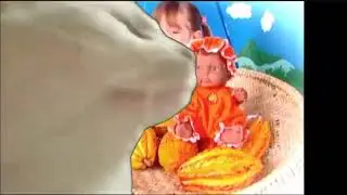 onde estão vcs frutinhas